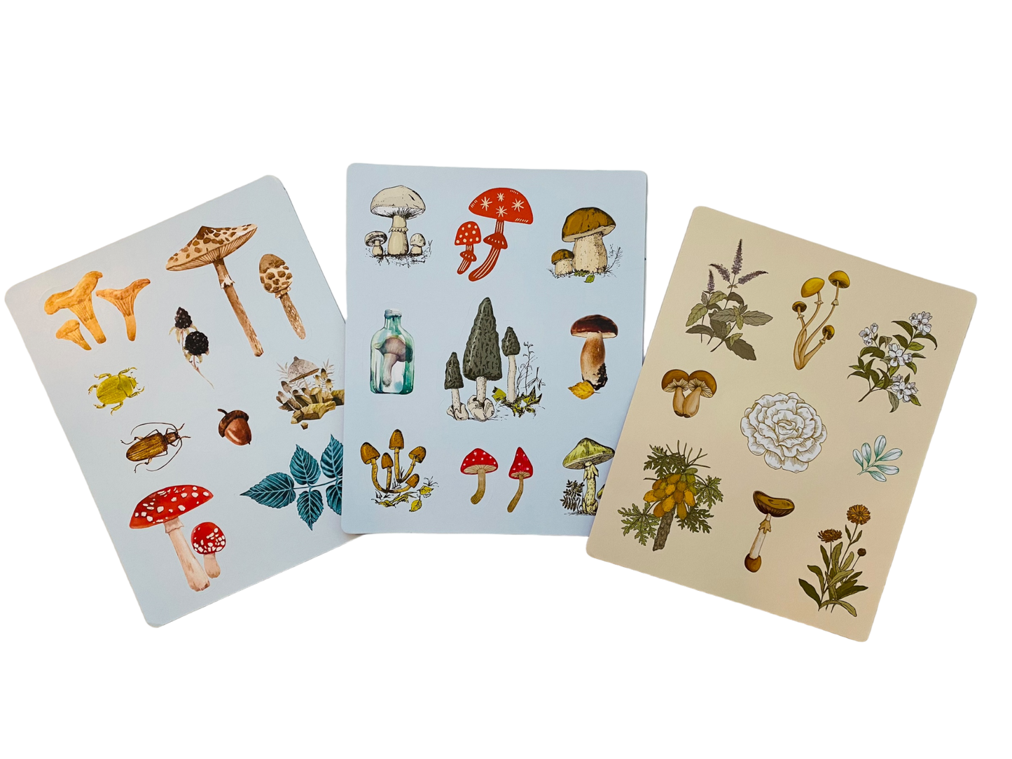 Botanical Mycology