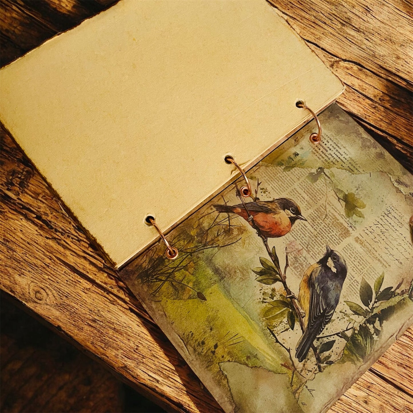 Sparrow's Song Journal