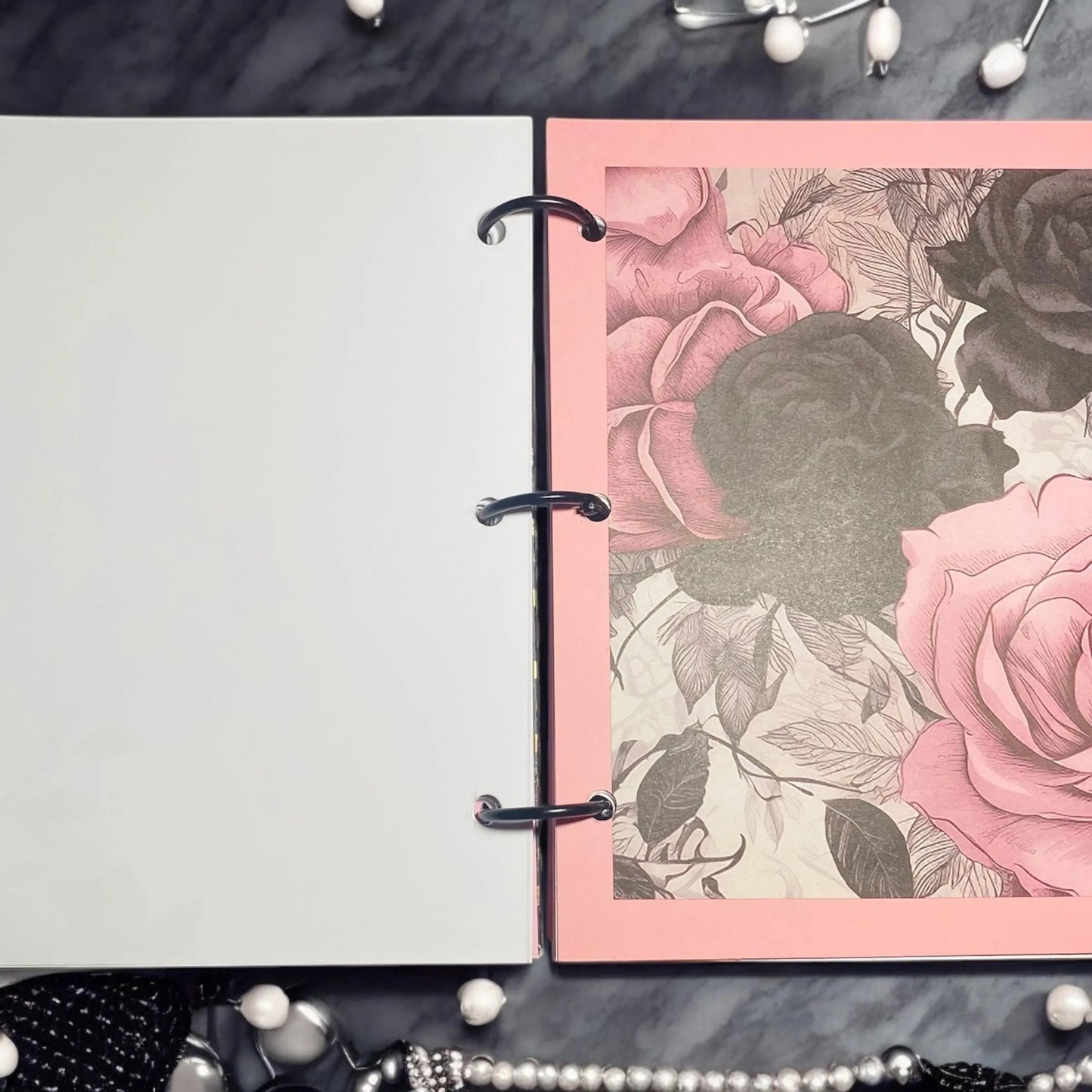 Diary of a Hidden Crown