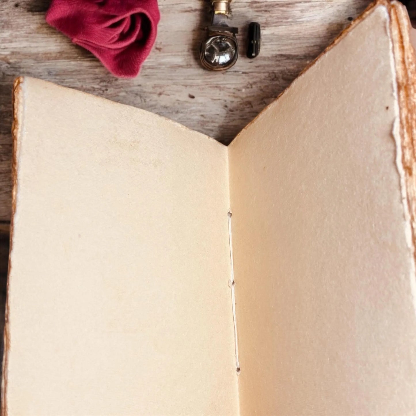 Time Traveler's Wife Journal