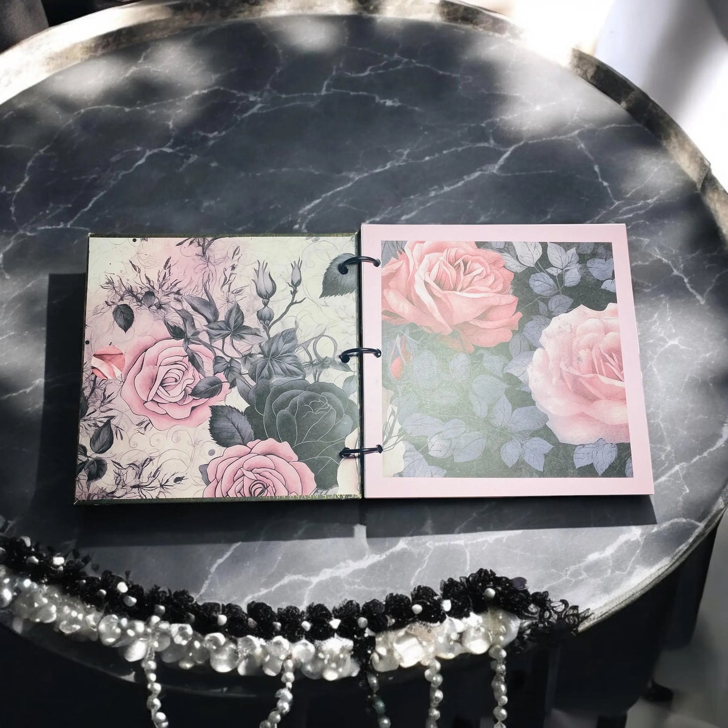 Diary of a Hidden Crown